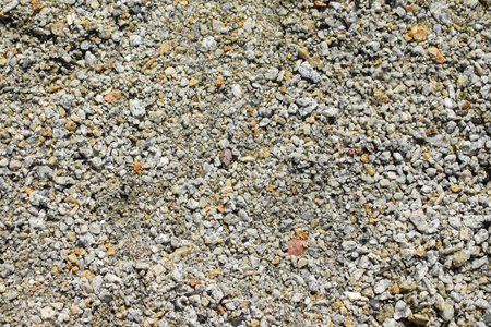 Gravel road texture with some mosses on a sunny day