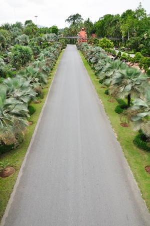 Park road in Pattayaの写真素材