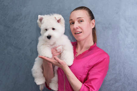 portrait of a young girl with a West Highland White Terrier puppy on a gray background.の写真素材