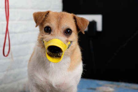 time to negotiate text on a yellow background through a magnifying glass.の写真素材