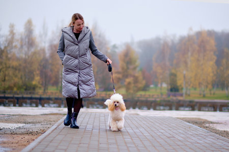 A woman walks with a poodle against the background of an autumn forest in cloudy weather.