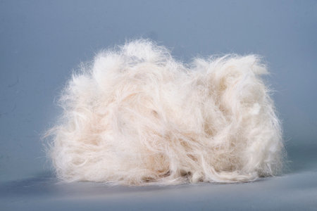 Close up of Bunch of dog hair fur after brushing and grooming. The concept of animal care.
