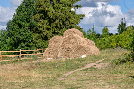 A haystack collected from sheaves in the yardの写真素材