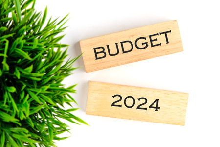 Budget 2024 text on wooden blocks on a white background with a green plant out of focusの写真素材