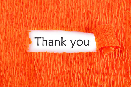 Text Thank You on a white sheet under an orange backgroundの写真素材