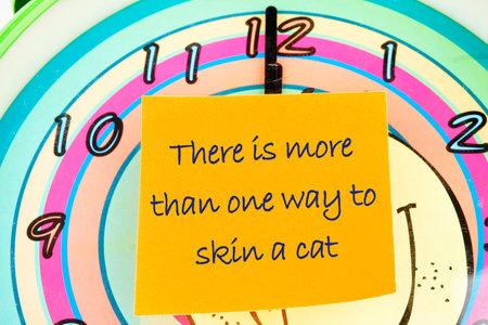 There is more than one way to skin a cat text on the sticker on the background of the watch face