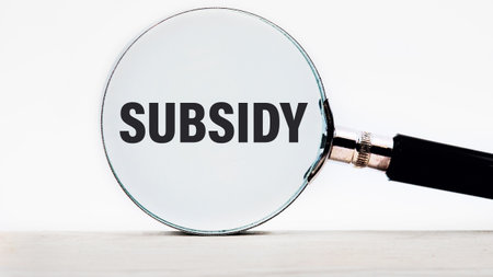 Business concept. SUBSIDY word text appeared looking at a white background through a magnifying...