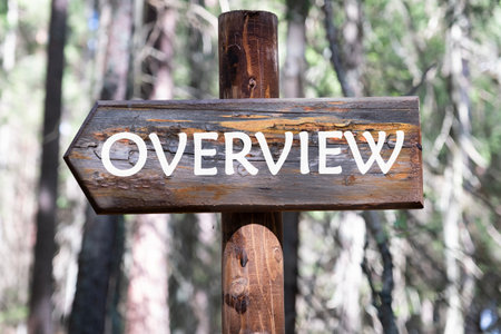 OVERVIEW word on a piece of a wooden pole against the background of a forest