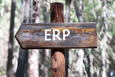 Enterprise Resource Management ERP word written on a piece of a wooden pole against the background...