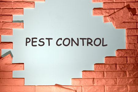 PEST CONTROL written on the wall under the dismantled bricksの写真素材