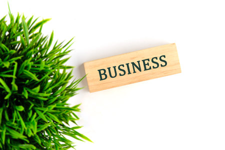 The BUSINESS concept phrase, business creative motivation concept.の写真素材