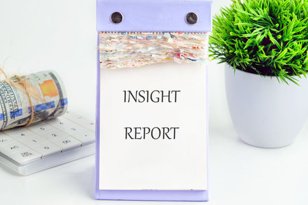 INSIGHT REPORT concept phrase. Business concept. A place to copy. Operations and performance managementの写真素材
