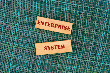 The conceptual phrase of the ENTERPRISE SYSTEM. Business concept. Internet and technology conceptの写真素材