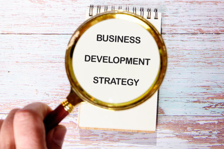 Conceptual text, phrase, words Business Development Strategy The concept of development and...