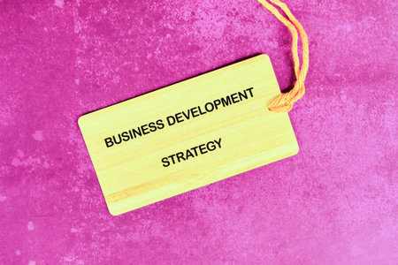 Conceptual text, phrase, words Business Development Strategy The concept of development and business, strategy and growth. A place to copy.の写真素材
