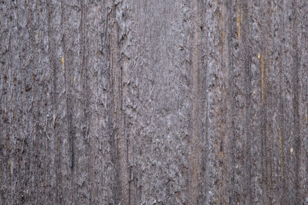 Close-up of weathered wood displaying intricate textures and natural lines, illuminated softly in a calm environment.の写真素材