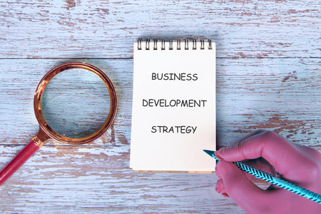 Conceptual text, phrase, words Business Development Strategy The concept of development and...