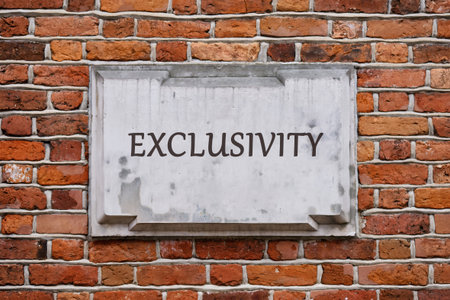 Equity, diversity concept. Copy space. EXCLUSIVITY word written on a plaque on a weathered brick...