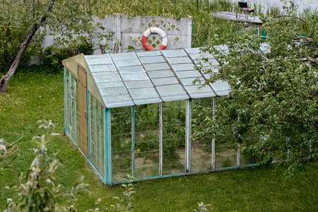 A greenhouse stands among vibrant grass and trees, reflecting the tranquility of a peaceful garden in bright sunlight.の写真素材