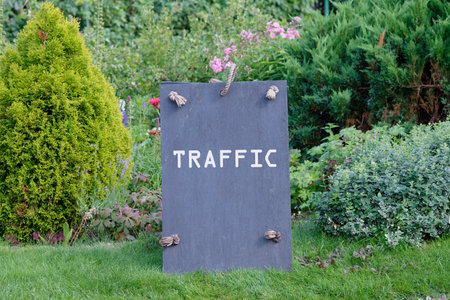 Boost visibility, attract organic traffic, and dominate search engine concept. TRAFFIC written on Slate sign.の写真素材
