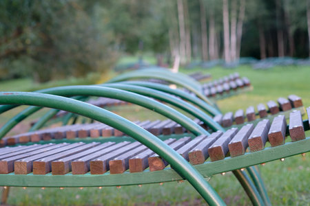 Curved wooden benches line a tranquil park, inviting visitors to pause and enjoy the beauty of nature. Soft light filters through the trees, enhancing the peaceful atmosphere.の写真素材