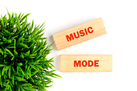 Brightly colored blocks spell out music mode next to vibrant green plant life, creating a calming and joyful ambiance perfect for uplifting moments and relaxation.の写真素材