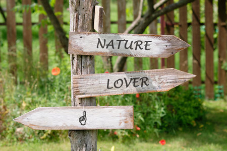 Three rustic wooden signposts stand near lush greenery, directing nature enthusiasts deeper into the vibrant garden. Each sign carries a simple message, inviting exploration.の写真素材