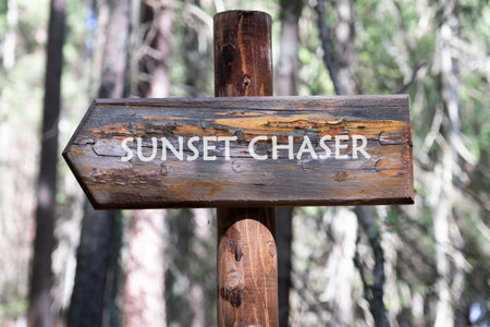A rustic wooden sign points the way through a pine forest. It reads Sunset Chaser, inviting...