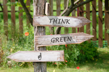 In a lush outdoor area, weathered wooden signpost displays THINK GREEN along with a finger icon, encouraging eco-consciousness in the verdant late afternoon setting.の写真素材