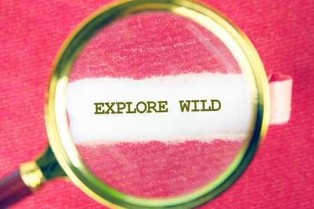The phrase Explore Wild is magnified against a textured, crimson background, symbolizing discovery and the call to investigate the uncharted territories.の写真素材