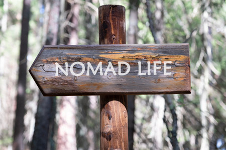 A wooden sign pointing towards nomad life, surrounded by tall trees in a serene forest. This scene invites explorers to embrace a lifestyle of adventure and connection with nature.の写真素材