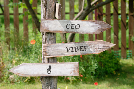 A wooden post holds directional signs. Each sign points away. One reads CEO. Another reads VIBES. The last sign has an emoji. It is set in a yard, on a sunny day.の写真素材
