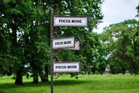 Three stylish signs displaying Focus Mode stand tall in a tranquil park surrounded by lush trees, encouraging peaceful contemplation and mindfulness on a cloudy day.の写真素材