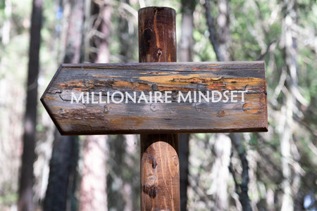 A wooden sign stands tall in a lush forest, pointing the way toward the concept of a millionaire mindset, inviting hikers to embrace personal growth.の写真素材