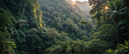Panoramic view of the rainforest at sunrise in Bali, Indonesiaの素材