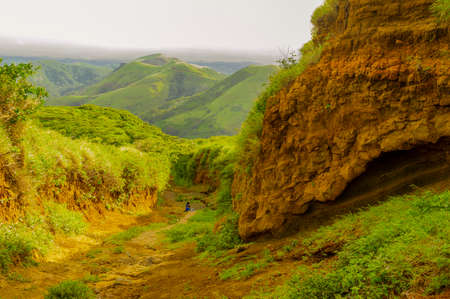A path surrounded by vegetation with a hill in the background, A path that leads to a hillの写真素材