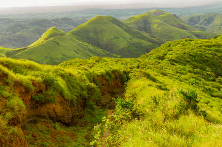 A path surrounded by vegetation with a hill in the background, A path that leads to a hill
