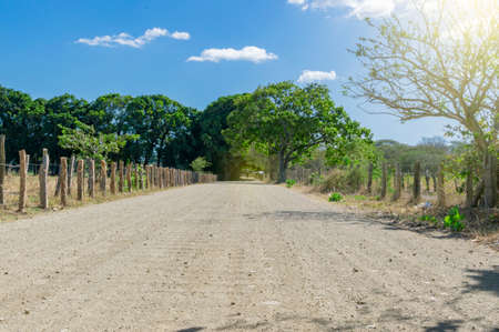 A road surrounded by trees with clouds and blue sky, a road surrounded by trees on a sunny day with...