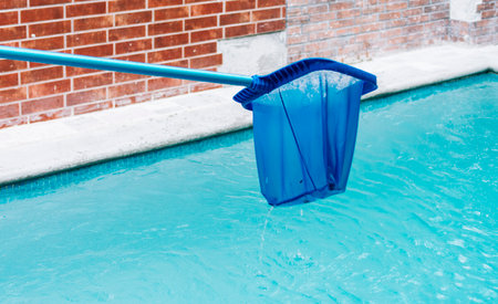 Pool Leaf Skimmer, Pool Cleaning and Maintenance Tools, Picture of a Pool Leaf Skimmer, Pool Leaf Skimmerの写真素材
