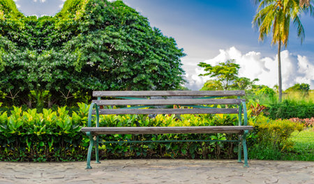 A wooden bench in a park at sunset, front view of a wooden bench with sky and clouds in the background, Front view of a nice wooden bench surrounded by plants with copy space.の写真素材