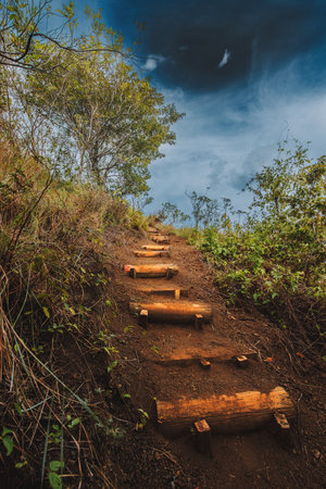 Path with wooden stairs surrounded by nature. Low angle of beautiful path with wooden steps surrounded by vegetationの写真素材