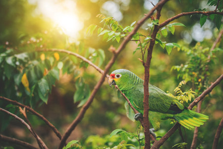 Portrait of a colorful yellow-naped parrot on a branch. Beautiful yellow-necked green parrot in its habitatの写真素材