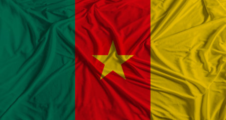 Cameroonian flag with fabric texture background. National flag of Cameroonの写真素材