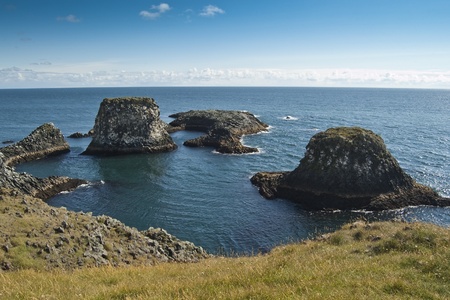 Volcanic coastal cliffs in Arnarstapi (Iceland)の写真素材