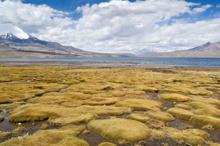 Chungará Lake and Parinacota volcano, Lauca National Park, Chile
