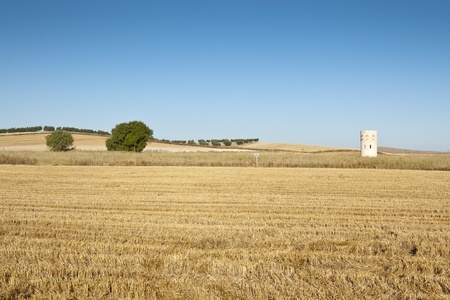 Dove cote in an agrarian landscape in Ciudad Real Province, Spainの写真素材