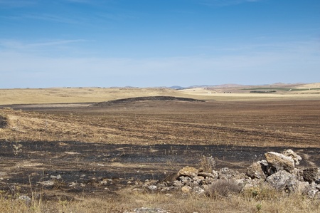 Field of burnt stubble in an arable landscape in Ciudad Real, Spainの写真素材