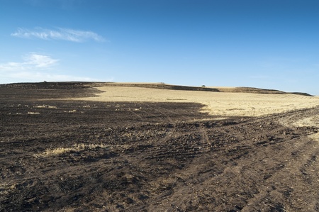 Field of burnt stubble in an arable landscape in Ciudad Real, Spainの写真素材