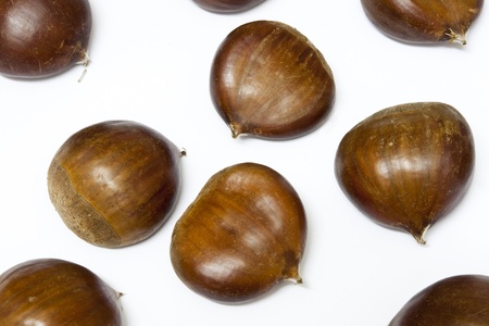 Raw chestnutsの写真素材