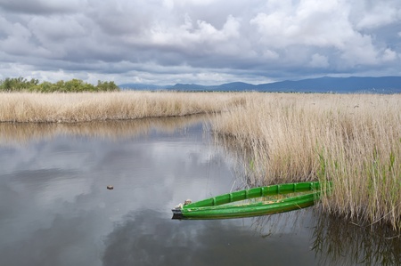 Tablas de Daimiel National Park, Spain  It is a nature reserve in south-central Spain の写真素材